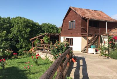 Vand sau schimb casa 4 camere cu 2600 mp teren, Central, Reghin, Mures - 4