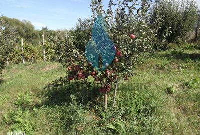 Teren de 3240 mp, în Bârnova