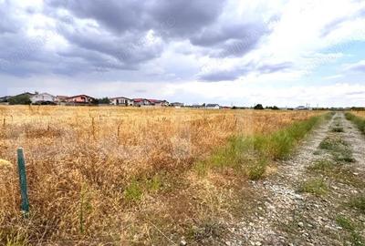 Teren intravilan 500 mp, front 15m, utilita?i, zona Magnolia - 5