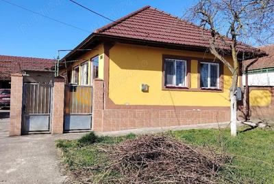 Casă cu 3 camere cu Teren 1567 Mp în Ianova - 20