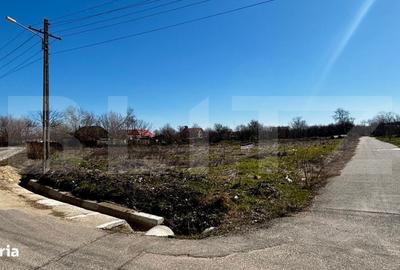 Teren de 1331 mp, în Mischii