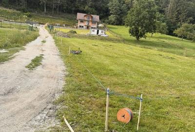 Spațiu comercial, în Moieciu - 1