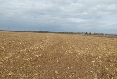 Teren Construcții intravilan de 9844 mp, în Dumbrava - 5