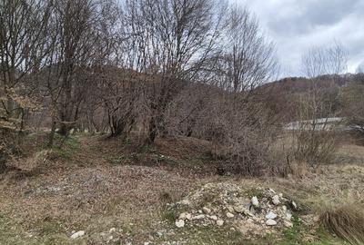 Teren zona de cabane de vacanta Cheisoara, la asfalt - 3