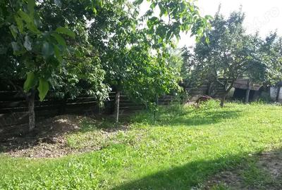 Proprietar Vand Casa in Bihor Proprietar Vand Casa in Bihor - 2