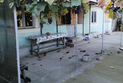 Vand casa cu teren 2000m - 3