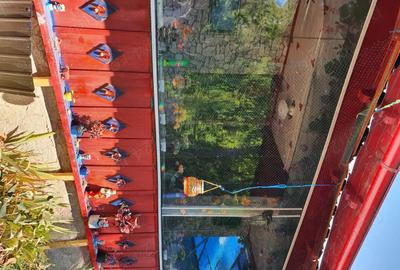 Casă cu 4 camere cu Teren 400 Mp în Pănătău - 2