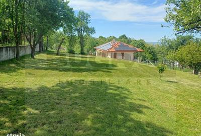 Casă în Mihai Viteazu - 15