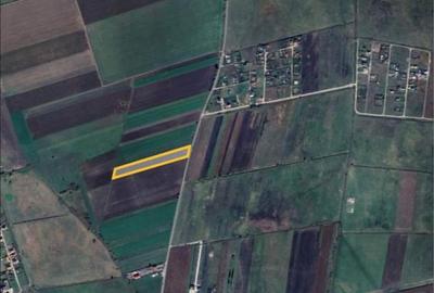 Teren de 5000 mp, în Hărman - 2