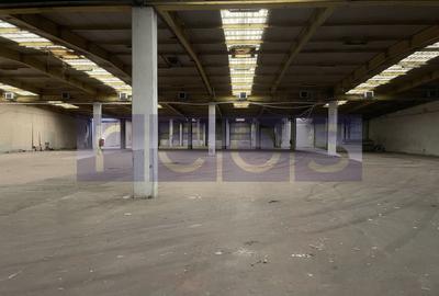 Spațiu industrial, de 19,300 mp, în Odăi - 24