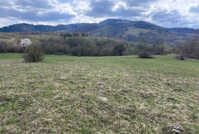 Spațiu comercial, în Șinca - 1