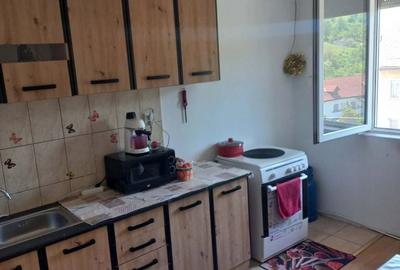 Apartament cu 2 camere decomandat în Șuncuiuș - 5