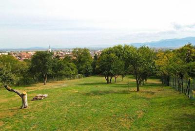 Teren Intravilan 3290 mp Codlea 3 Parcele - 5