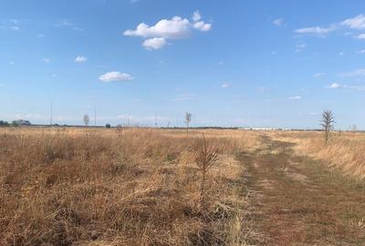 Matei Millo  Serenety  Vanzare  teren 1000mp (140eur/mp) - 3