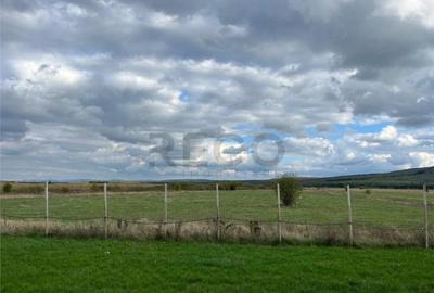 RECO Casa noua la 6 km de Oradea, in Rontau - 15