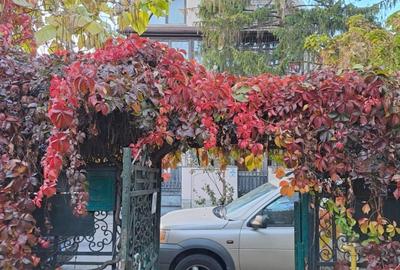 Casa individuala cu gradina