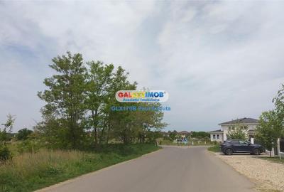 Teren Construcții intravilan de 6000 mp, în Corbeanca - 1