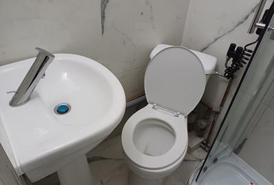 Garsoniera renovata Steaua - 5