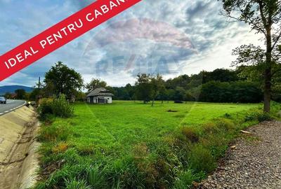 DE VANZARE: Teren ideal pentru dezvoltare turistica - 1