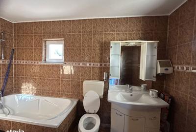 Spațiu comercial, de 150 mp, în Prundu - 13