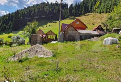 Teren de 3015 mp, în Gârda de Sus - 6