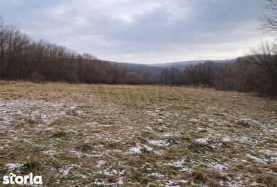 Teren de 850 mp, în Făget - 2