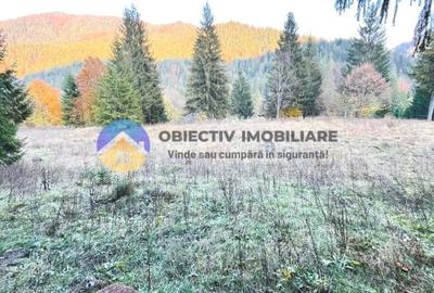 TEREN intravilan  TARCAU - SCHITU