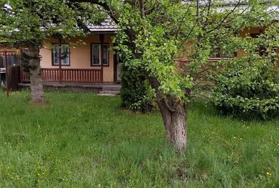 Casă cu 4 camere în Toplița - 5