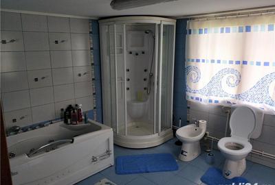 Casă cu 5 camere cu Teren 3500 Mp în Sântana - 9