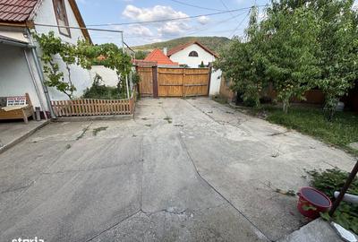Casă cu 5 camere cu Teren 2700 Mp în Pianu - 13