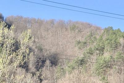 Casă cu 5 camere cu Teren 388 Mp în Malaia - 6