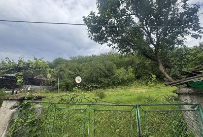 Casă cu 3 camere în Livadia - 4