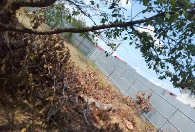 Teren intravilan 939 mp, Tag?oru Nou - 2