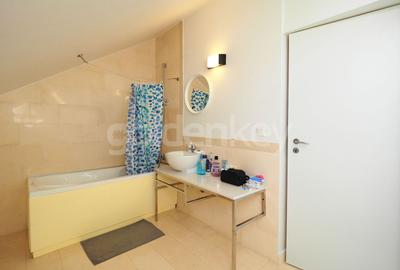 Duplex cu 6 camere cu Canalizare în Iancu Nicolae - 23