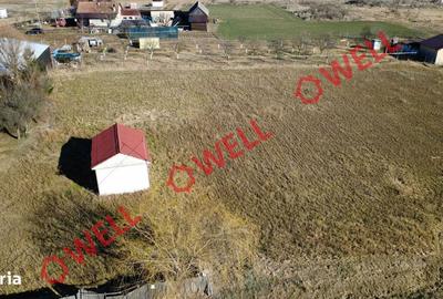 Spațiu comercial, în Boroșneu Mare - 3