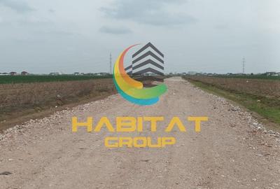 Teren 552 mp | Utilitati la Lot | Rate fara Dobanda | Vidra - 4