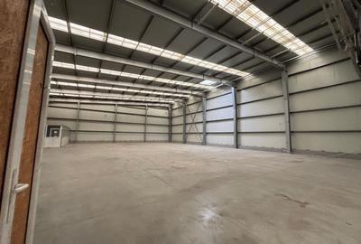 Spațiu comercial, de 1,514 mp, în Șagului - 13