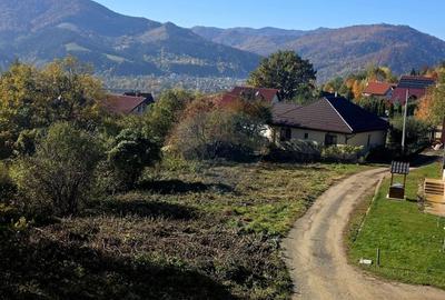 Casă individuală cu 5 camere cu Teren 2700 Mp în Alexandru cel Bun - 40