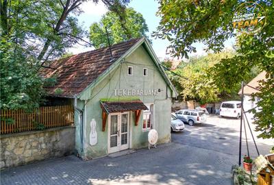 Intravilan,versatil,Central,Sfantu Gheorghe, optim dezvoltar - 7