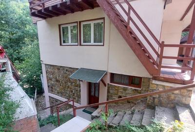 Pensiune turistica (afacere la cheie) Lepsa - 4