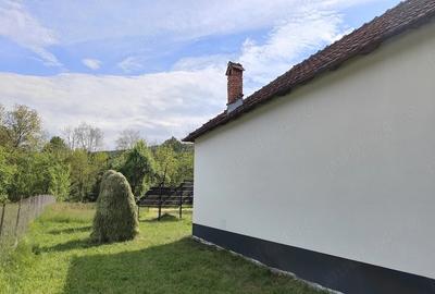 Casă cu 3 camere cu Teren 1500 Mp în Capu Piscului (Godeni) - 5