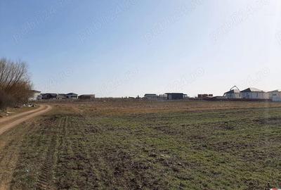 Teren de vanzare 4506mp str.Mierlei Tunari Ilfov - 6