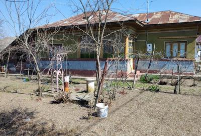 Vand casa + curte - 2