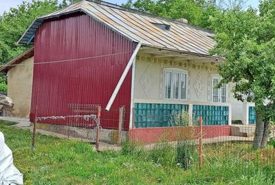 Casă cu 4 camere în Recia-Verbia - 5