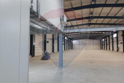 Spațiu industrial, de 1,200 mp, în Ștefăneștii de Jos - 5