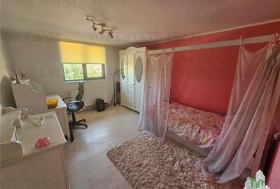 Vila individuala regie proprie 5 camere in Ciutaci (Domnesti) Vila individuala regie proprie 5 camere in Ciutaci (Domnesti) - 7