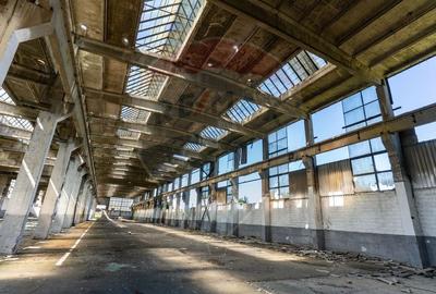 Teren industrial Orastie 13,5 ha cu hale fosta platforma industriala - 11