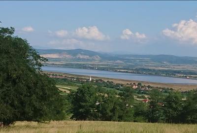 Teren Construcții intravilan de 8743 mp, în Tileagd