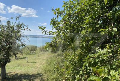 Teren extravilan in apropierea lacului Varsolt in suparfata - 2