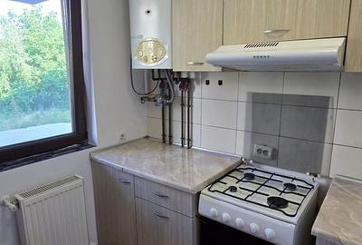 Garsonieră în Valea Oltului - 8